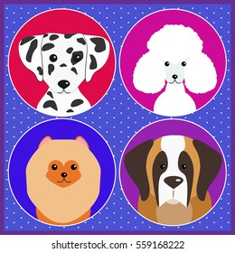 Dog breeds, Dalmatian, Poodle, St. Bernard, Japanese Spitz. Vector, icon, Illustration