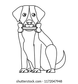 Dog breeds design