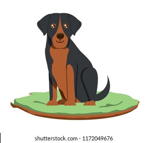 Dog breeds design