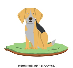 Dog breeds design