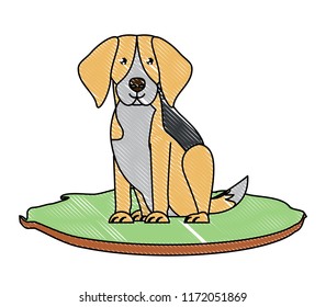 Dog breeds design