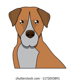 Dog breeds design