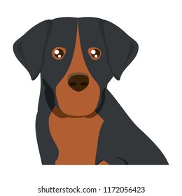 Dog breeds design