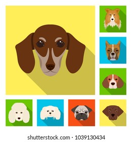 Dog breeds flat icons in set collection for design.Muzzle of a dog vector symbol stock web illustration.