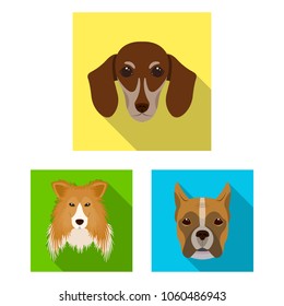 Dog breeds flat icons in set collection for design.Muzzle of a dog vector symbol stock web illustration.