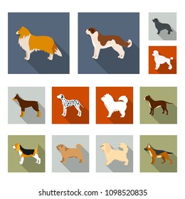 Dog breeds flat icons in set collection for design.Dog pet vector symbol stock web illustration.