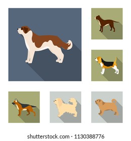 Dog breeds flat icons in set collection for design.Dog pet vector symbol stock web illustration.