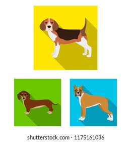 Dog breeds flat icons in set collection for design.Dog pet vector symbol stock web illustration.