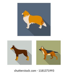 Dog breeds flat icons in set collection for design.Dog pet vector symbol stock web illustration.