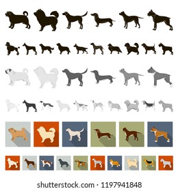 Dog breeds flat icons in set collection for design.Dog pet vector symbol stock web illustration.