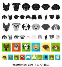 Dog breeds flat icons in set collection for design.Muzzle of a dog vector symbol stock web illustration.