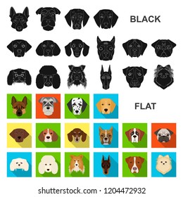 Dog breeds flat icons in set collection for design.Muzzle of a dog vector symbol stock web illustration.