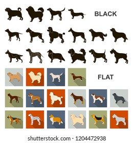 Dog breeds flat icons in set collection for design.Dog pet vector symbol stock web illustration.