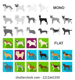 Dog breeds flat icons in set collection for design.Dog pet vector symbol stock web illustration.