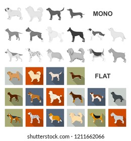 Dog breeds flat icons in set collection for design.Dog pet vector symbol stock web illustration.