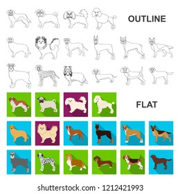 Dog breeds flat icons in set collection for design.Dog pet vector symbol stock web illustration.