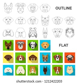 Dog breeds flat icons in set collection for design.Muzzle of a dog vector symbol stock web illustration.