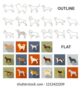 Dog breeds flat icons in set collection for design.Dog pet vector symbol stock web illustration.