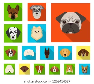 Dog breeds flat icons in set collection for design.Muzzle of a dog vector symbol stock web illustration.