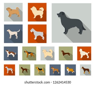 Dog breeds flat icons in set collection for design.Dog pet vector symbol stock web illustration.