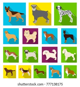 Dog breeds flat icons in set collection for design.Dog pet vector symbol stock web illustration.