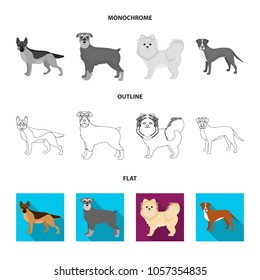 Dog breeds flat,outline,monochrome icons in set collection for design.Dog pet vector symbol stock web illustration.