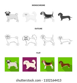 Dog breeds flat,outline,monochrome icons in set collection for design.Dog pet vector symbol stock web illustration.