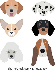 Dog breeds front head portrait