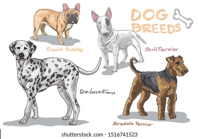 Dog Breeds Hand Drawing. French Bulldog, Miniature Bull Terrier, Dalmatian, airedale terrier