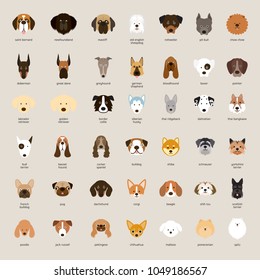 Dog Breeds, Head Set, Front View, Vector Illustration