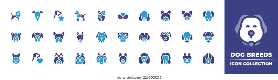 Dog breeds icon collection. Duotone color. Vector illustration. Containing poodle, greyhound, star, dog, cocker spaniel, french bulldog, english toy terrier, golden retriever, bulldog, great dane.