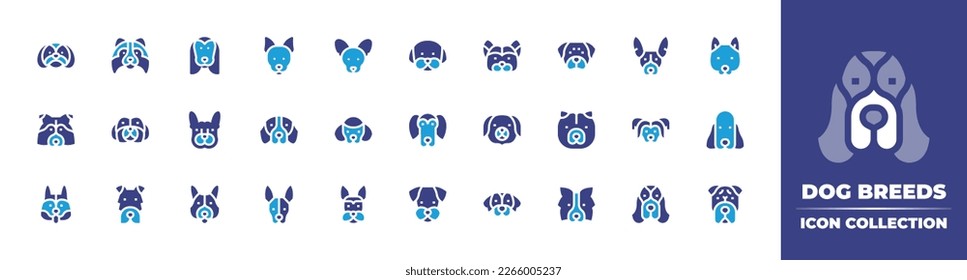 Colección de iconos de raza de perro. Color de duotona. Ilustración vectorial. Contiene shih tzu, shetland sheepdog, afghan hound, rat terrier, xoloitzcuintle, bichon frise, yorkshire terrier, rottweiler.