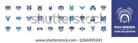 Dog breeds icon collection. Duotone color. Vector illustration. Containing american bully, bulldog, siberian husky, german shepherd, doberman, saint bernard, chihuahua, dachshund, boxer, bull terrier.