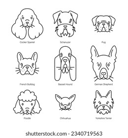 Dog Breeds icon set. Dog heads with titles. Cocker Spaniel, Schnauzer, Pug, French Bulldog, Basset Hound, German Shepherd, Poodle, Chihuahua, Yorkshire Terrier.