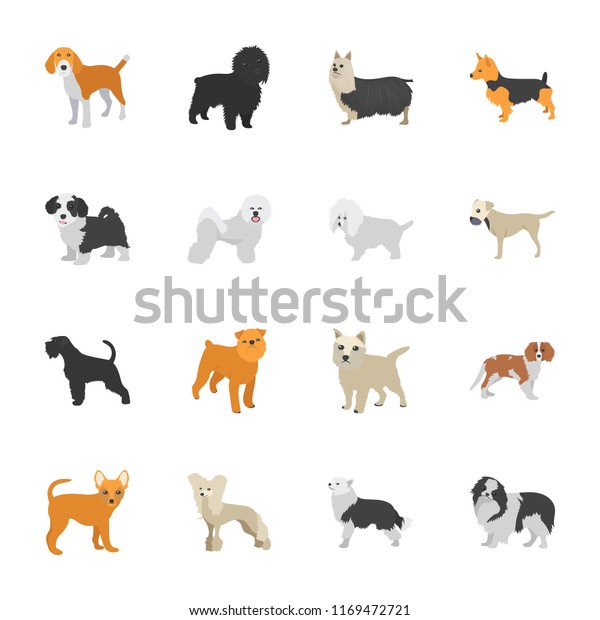 Dog Breeds Icons Stock Vector (Royalty Free) 1169472721