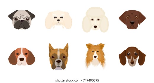 Dog Breeds Icons Set Collection Designmuzzle Stock Vector (Royalty Free ...