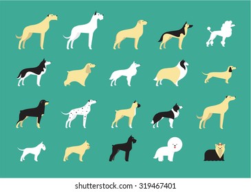 dog breeds illustration