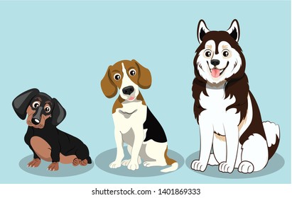 Dog Breeds Illustration, Beagle, Dachshund and Siberian Husky