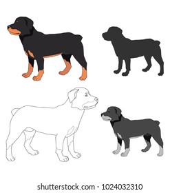 Dog Breeds isolated on white background.Vector illustration.