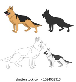 Dog Breeds isolated on white background.Vector illustration.