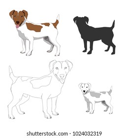 Dog Breeds isolated on white background.Vector illustration.