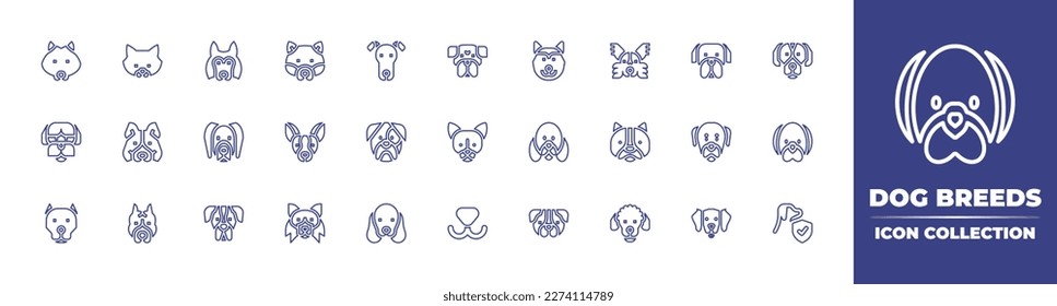 Dog breeds line icon collection  Editable stroke  Vector illustration  Containing samoyed  pomeranian  belgian shepherd  shiba inu  greyhound  boxer  papillon  english mastiff  spaniel  shih tzu 