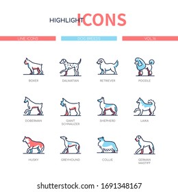 Dog breeds - modern line design style icons set. Various pets collection. Boxer, dalmatian, retriever, poodle, doberman, giant schnauzer, shepherd, laika, husky, greyhound, collie, german mastiff