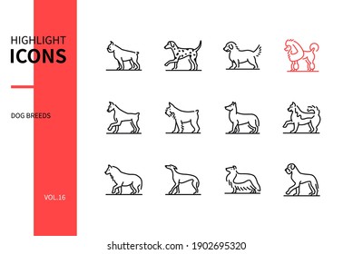 Dog breeds - modern line design style icons set. Various pets collection. Boxer, dalmatian, retriever, poodle, doberman, giant schnauzer, shepherd, laika, husky, greyhound, collie, german mastiff