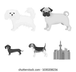 Dog breeds monochrome icons in set collection for design.Dog pet vector symbol stock web illustration.