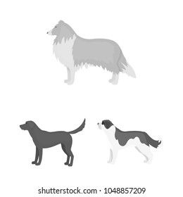 Dog breeds monochrome icons in set collection for design.Dog pet vector symbol stock web illustration.