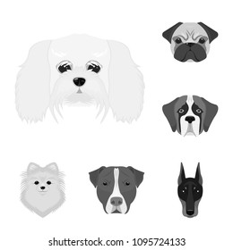 Dog breeds monochrome icons in set collection for design.Muzzle of a dog vector symbol stock web illustration.