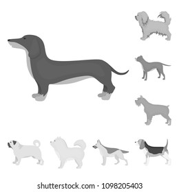 Dog breeds monochrome icons in set collection for design.Dog pet vector symbol stock web illustration.