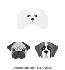 Dog breeds monochrome icons in set collection for design.Muzzle of a dog vector symbol stock web illustration.