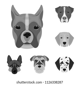 Dog breeds monochrome icons in set collection for design.Muzzle of a dog vector symbol stock web illustration.